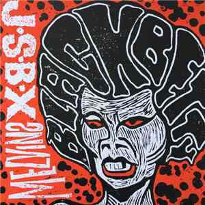 J•S•B•X / Melvins - Black Betty download flac mp3