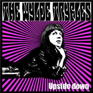 The Wylde Tryfles - Upside Down download flac mp3
