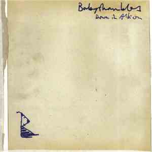 Babyshambles - Down In Albion download flac mp3