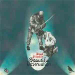 Beautiful Destruction - Soul Hunter download flac mp3