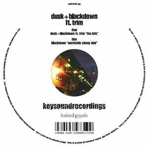 Dusk + Blackdown Ft. Trim  - The Bits / Northside Cheng Dub download flac mp3