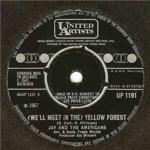 Jay & The Americans - (We'll Meet In The) Yellow Forest flac mp3 download