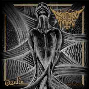 Misanthropic Rage - Qualia download flac mp3