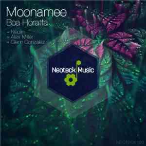 Moonamee - Boa Horatta download flac mp3