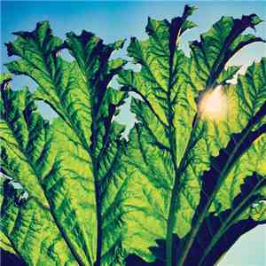 Pfarmers - Gunnera download flac mp3