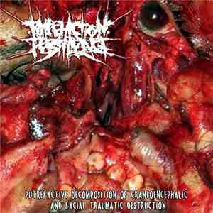 Putrefaction Pestilence - Putrefactive Decomposition Of Carneoencephalic And Facial Traumatic Destruction download flac mp3