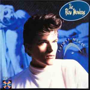 The Blow Monkeys - Animal Magic download flac mp3