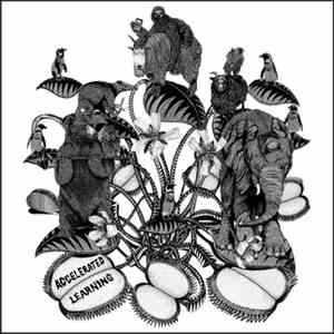 Truckers Of Husk - Accelerated Learning download flac mp3