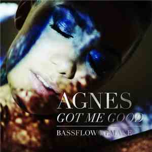 Agnes - Got Me Good (Bassflow Remake) flac mp3 download