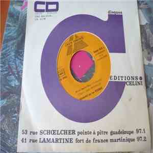 Les Vickings - Radio Typique / Mi On Belle Fleur download flac mp3