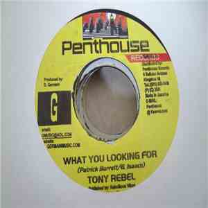 Tony Rebel - What You Looking For flac mp3 download