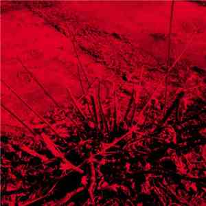 Wall Destruction - Anti-Form download flac mp3
