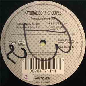Natural Born Grooves - Transylvanianexpress (Remixes) download flac mp3