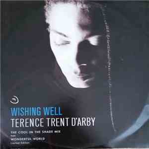 Terence Trent D'Arby - Wishing Well download flac mp3