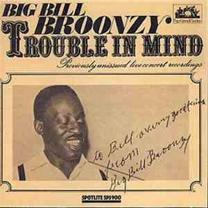 Big Bill Broonzy - Trouble In Mind download flac mp3