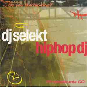 DJ Selekt - Do You Like Hip Hop? download flac mp3