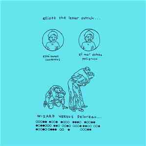 Elliott The Letter Ostrich - Wizard Versus Delorean download flac mp3