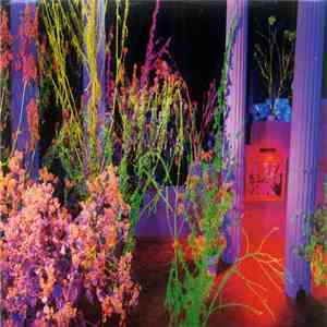 Hüsker Dü - Warehouse: Songs And Stories download flac mp3