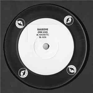 Raudive - Magnetic flac mp3 download