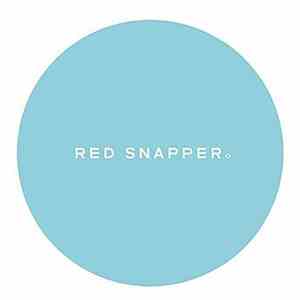 Red Snapper - A Pale Blue Dot download flac mp3