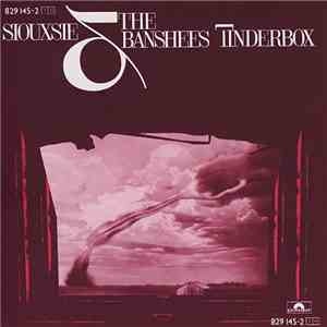 Siouxsie & The Banshees - Tinderbox download flac mp3