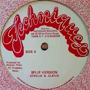 Steelie & Cleive / Flourgon - Splif Version / Hol A Splif download flac mp3
