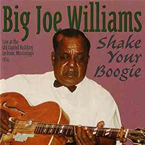 Big Joe Williams - Shake Your Boogie - Live At The Old Capitol Building Jackson, Mississippi 1974 download flac mp3