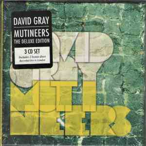 David Gray - Mutineers download flac mp3
