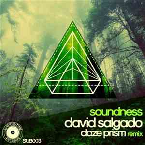 David Salgado - Soundness download flac mp3