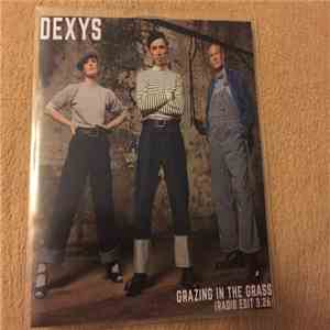 Dexys - Grazing In The Grass ( Radio Edit ) download flac mp3
