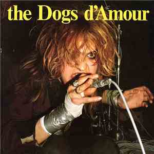 The Dogs D'Amour - The State We're In download flac mp3