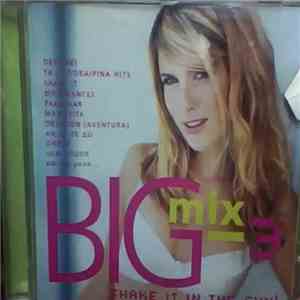 Various - Big Mix 3 Shake It In The Sun download flac mp3