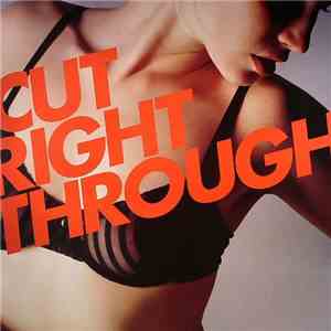 Cicada - Cut Right Through download flac mp3