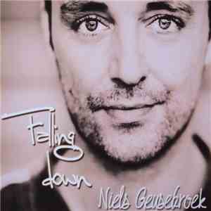 Niels Geusebroek - Falling Down download flac mp3
