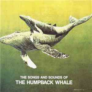 No Artist - Songs And Sounds Of The Humpback Whale download flac mp3