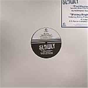 Slowly  Featuring Alison Crockett - Find Illusion download flac mp3