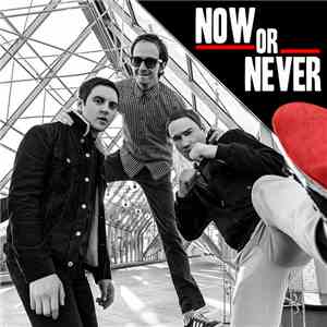 The Riots  - Now or Never download flac mp3