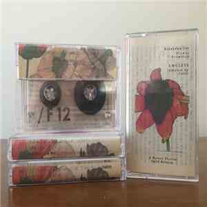 Braeyden Jae / Amulets - Split flac mp3 download