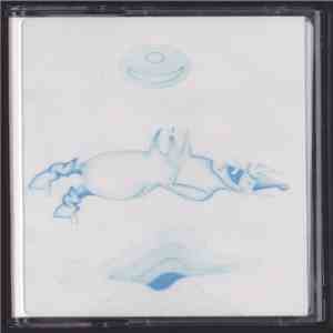 Devendra Banhart - Ape In Pink Marble download flac mp3
