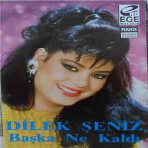 Dilek Şeniz - Başka Ne Kaldı download flac mp3