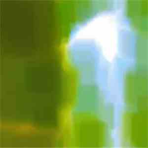 Osso Bucco - Fool Of Empty Interlude download flac mp3