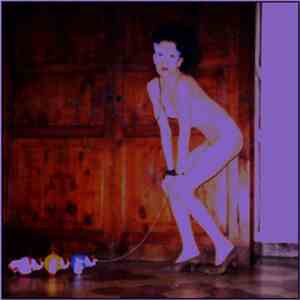 The Conservativers - HardBoiled Pop download flac mp3