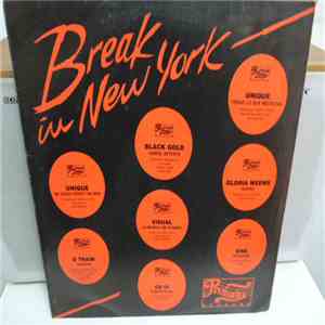 Various - Break In New York download flac mp3