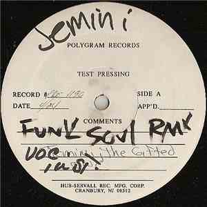 Jemini The Gifted One - Funk Soul Sensation (Remixes) - Test Pressing download flac mp3