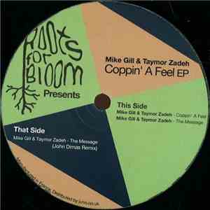 Mike Gill  & Taymor Zadeh - Coppin' A Feel EP download flac mp3