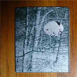 Purity Of Essence / Lace  - The Scars Of Age download flac mp3