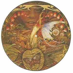 Spyro Gyra - Morning Dance download flac mp3