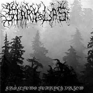Stary Las - Królestwo Starych Drzew download flac mp3