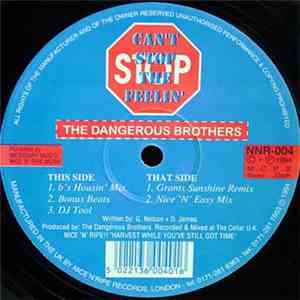 The Dangerous Brothers - Can't Stop The Feelin' download flac mp3
