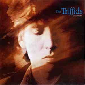 The Triffids - Calenture download flac mp3